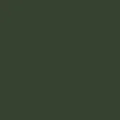 Dark green RAL 6020 lacquered surface, matte finish, uniform color, studio backdrop or digital swatch, Bolzan Letti brand.